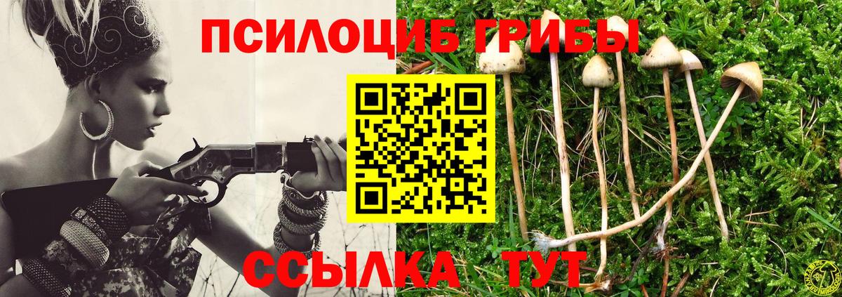 Галлюциногенные грибы прущие грибы Озёры