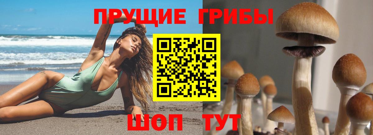 Псилоцибиновые грибы Magic Shrooms  Вход с VPN  закладки  Озёры 