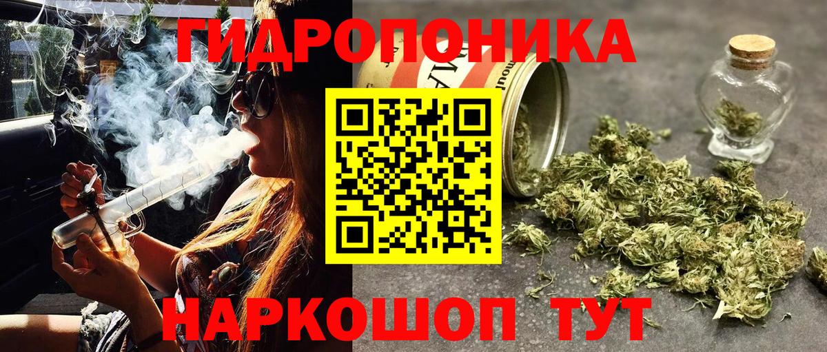 Шишки марихуана OG Kush Озёры